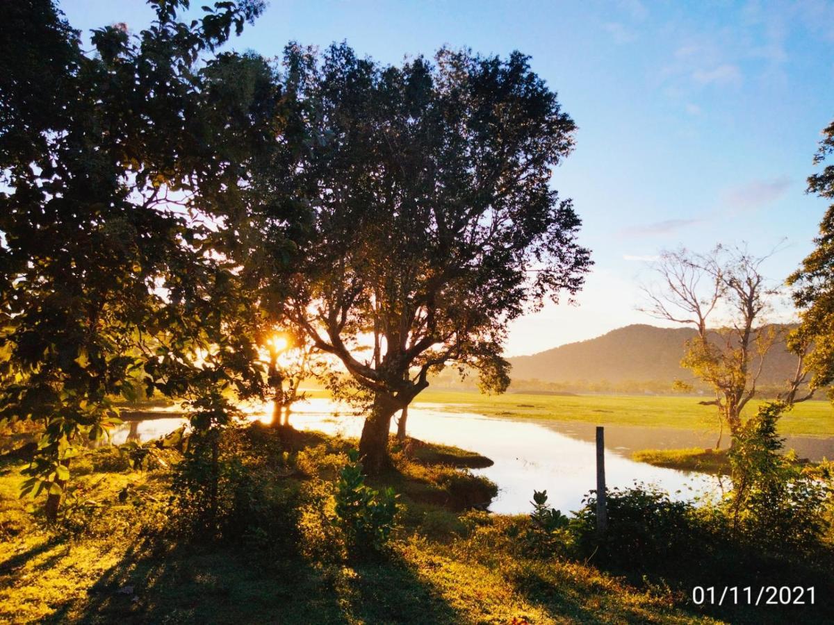 קטרגמה Lake Front Yala Safari מראה חיצוני תמונה