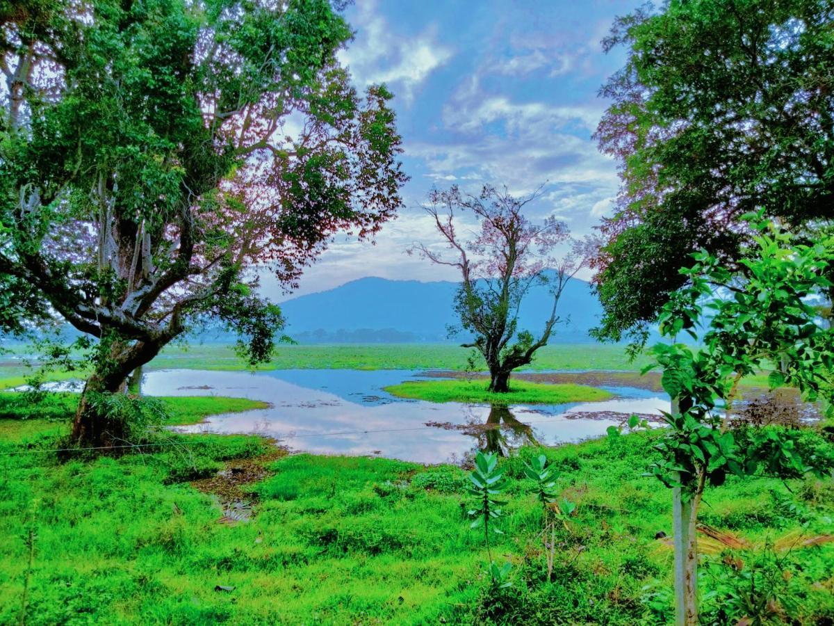 קטרגמה Lake Front Yala Safari מראה חיצוני תמונה
