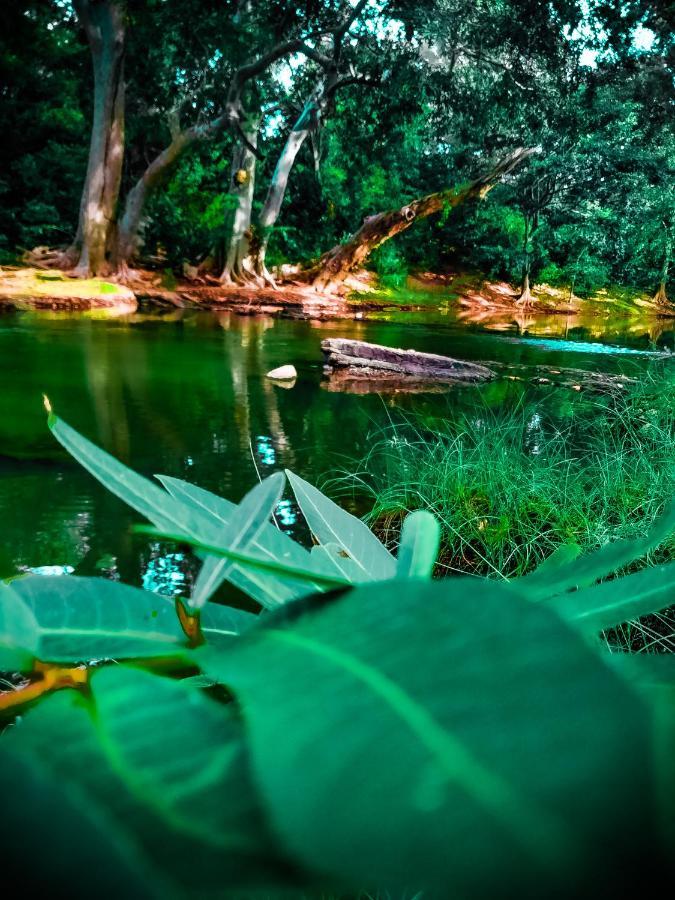 קטרגמה Lake Front Yala Safari מראה חיצוני תמונה