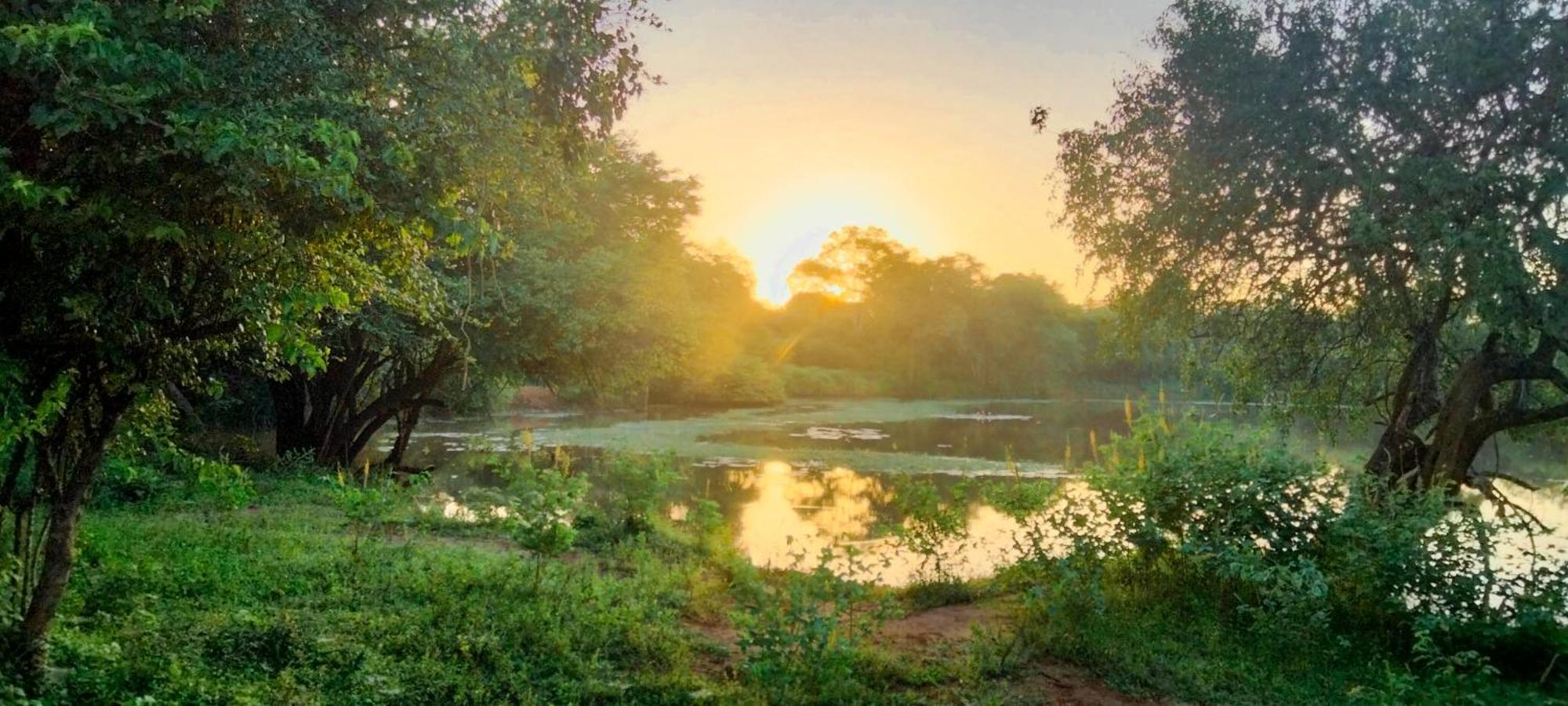 קטרגמה Lake Front Yala Safari מראה חיצוני תמונה