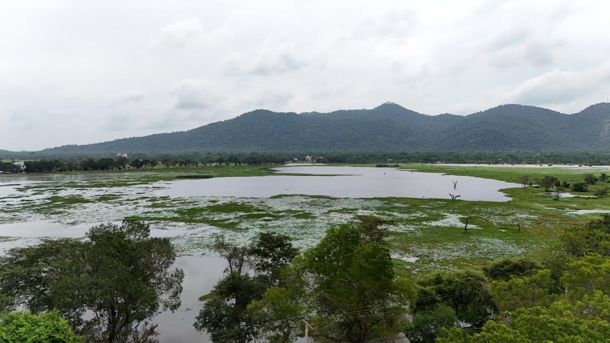 קטרגמה Lake Front Yala Safari מראה חיצוני תמונה