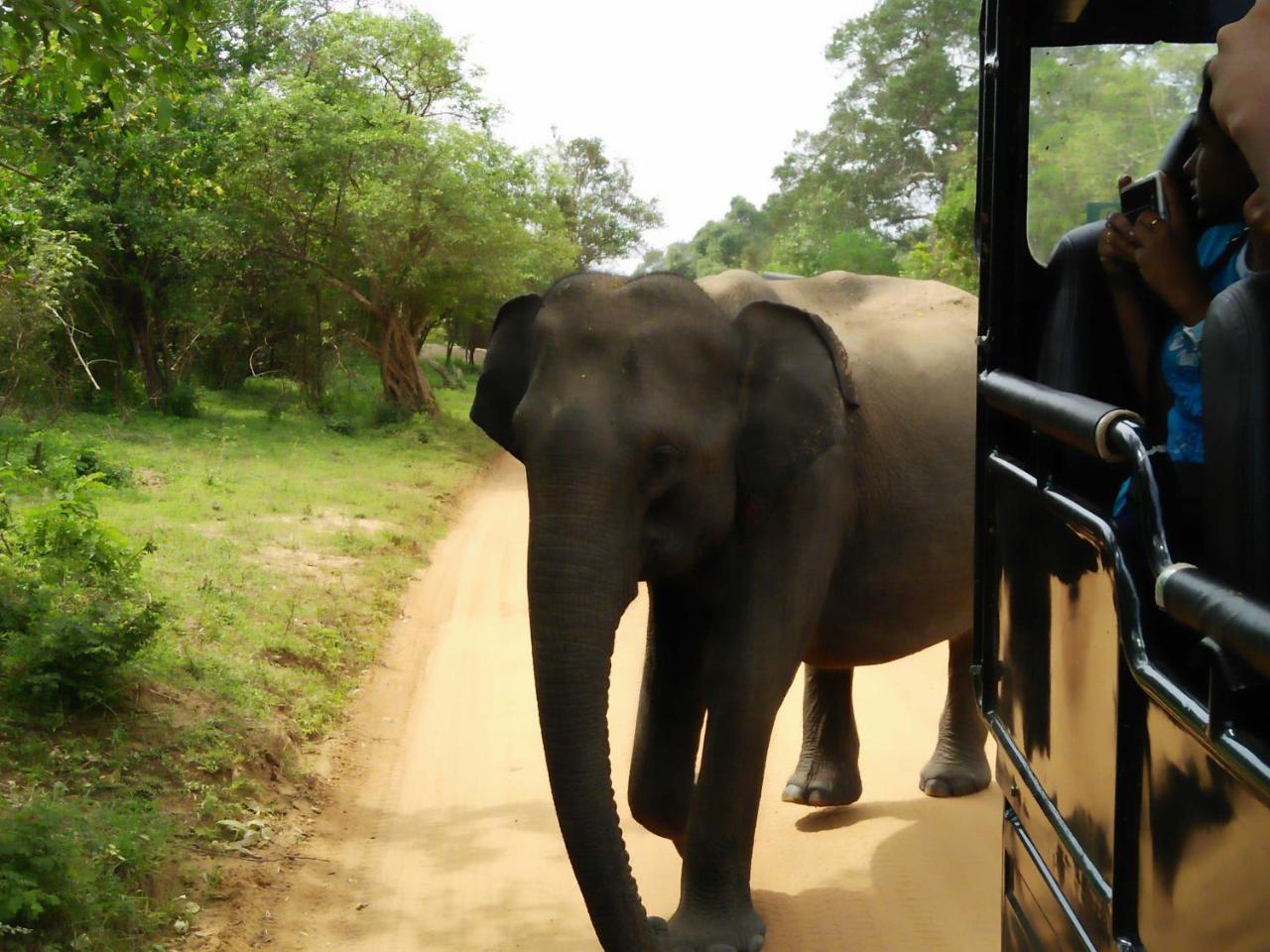 קטרגמה Lake Front Yala Safari מראה חיצוני תמונה